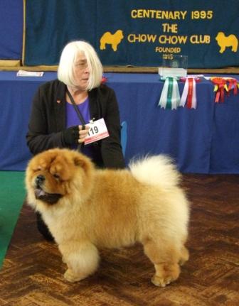 The Chow Chow Club